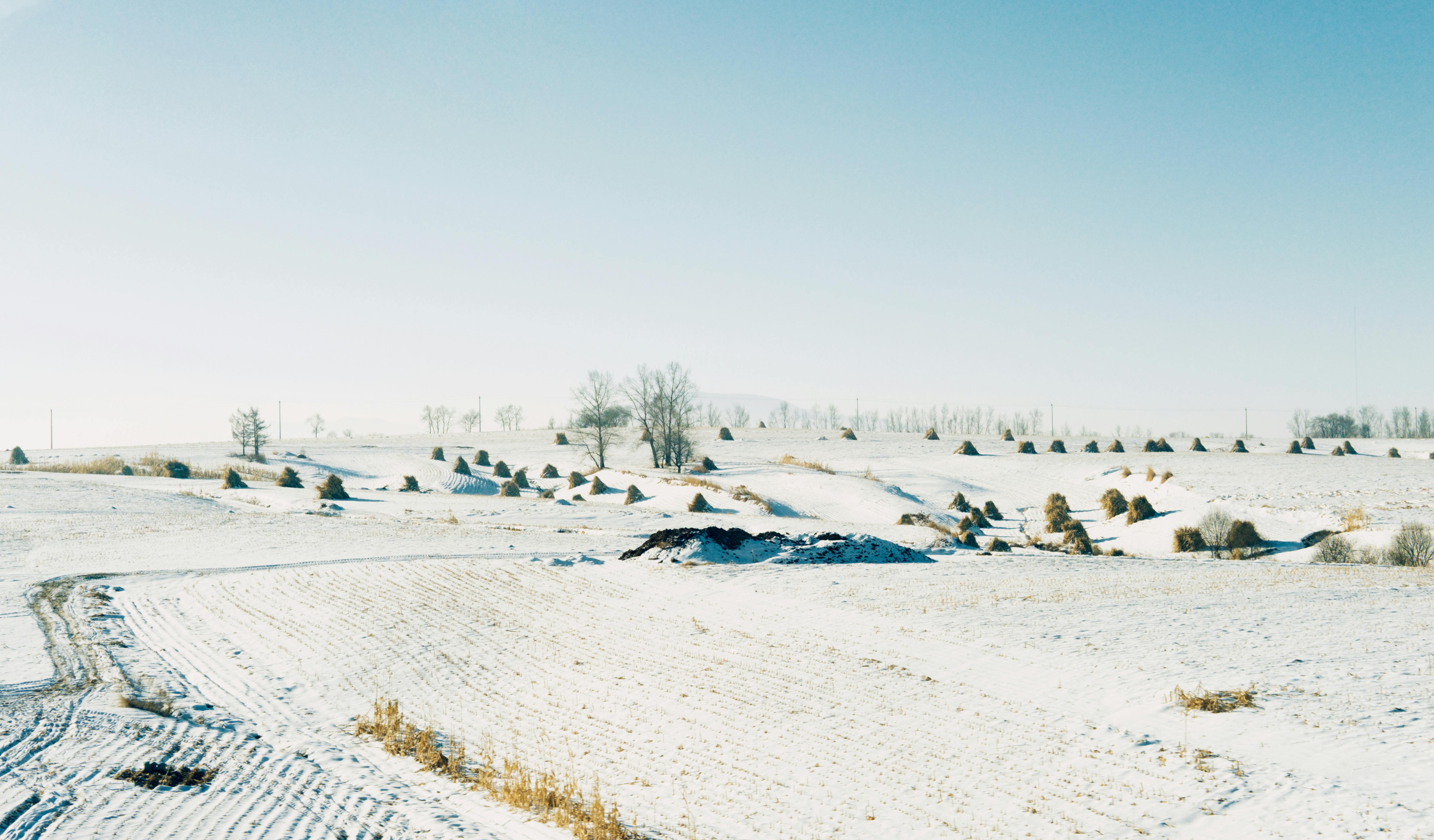 Jilin